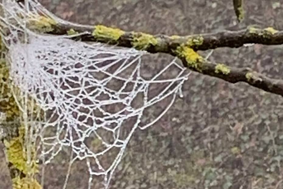 Gedicht: In der Ruhe liegt die Kraft. Bestimmt. Nur manchmal ist es mit der Ruhe vorbei, wenn man auf einen einst geliebten Menschen trifft.